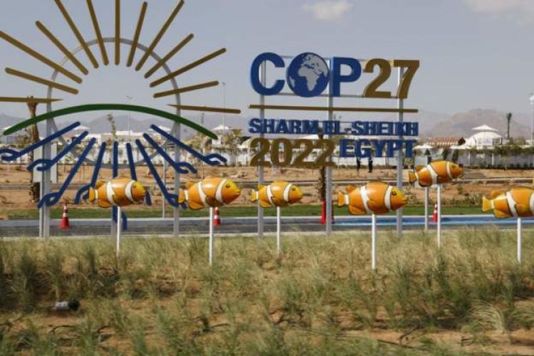 Africa's push for gas divides climate change summit