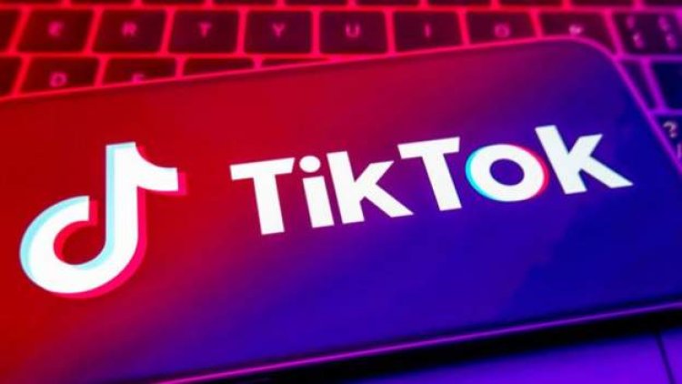 Public whipping of Nigerian TikTok stars condemned