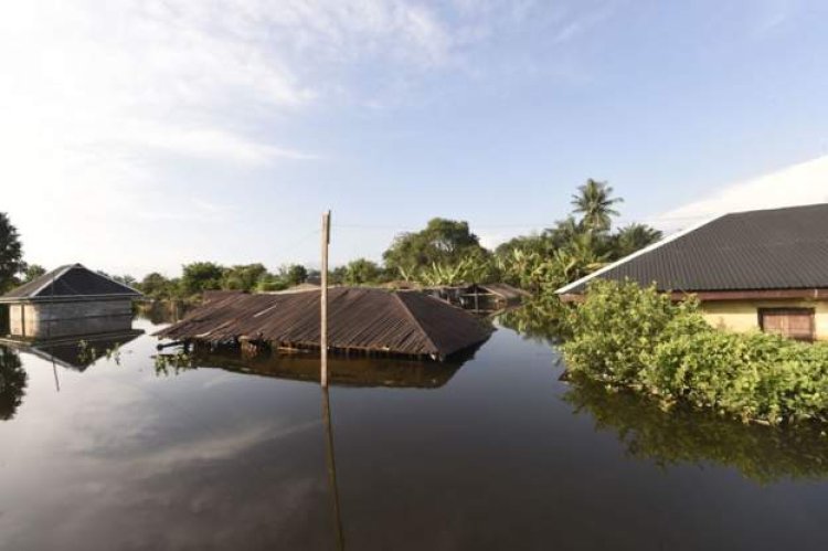 Climate change caused Nigeria 'worst floods' - study