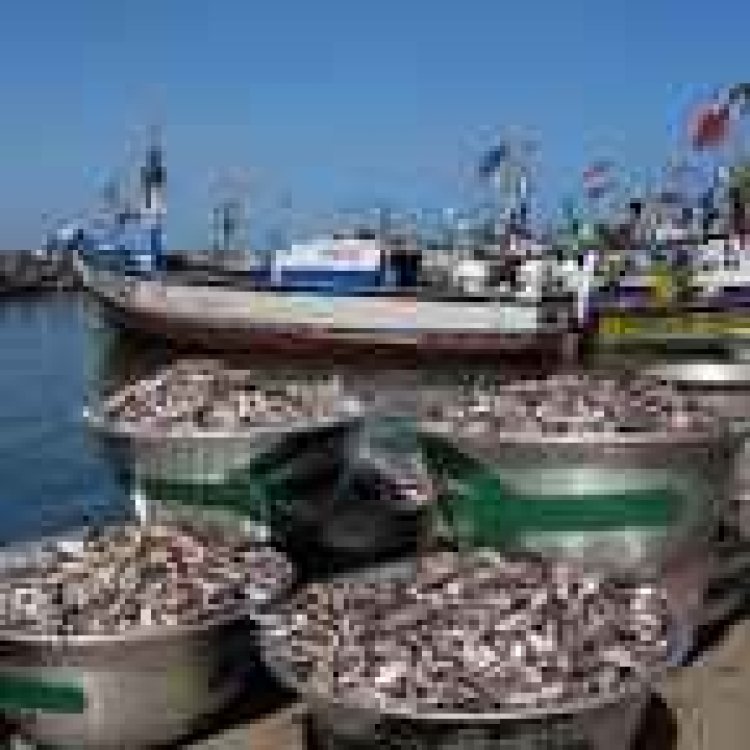 We Need Digitisation In The Fishing Industry-Nana Solomon Urges Government