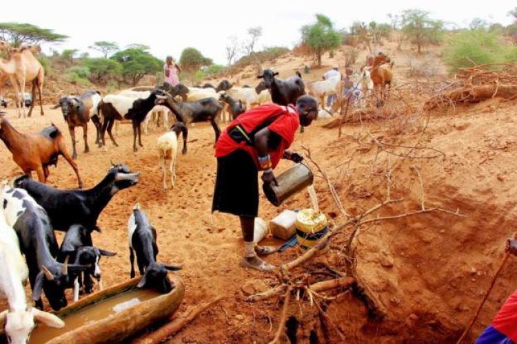 Kenya ministers to forgo a month's pay in drought aid