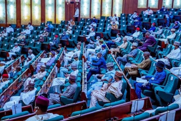 'National Assembly Budget Too Low' – House Of Reps