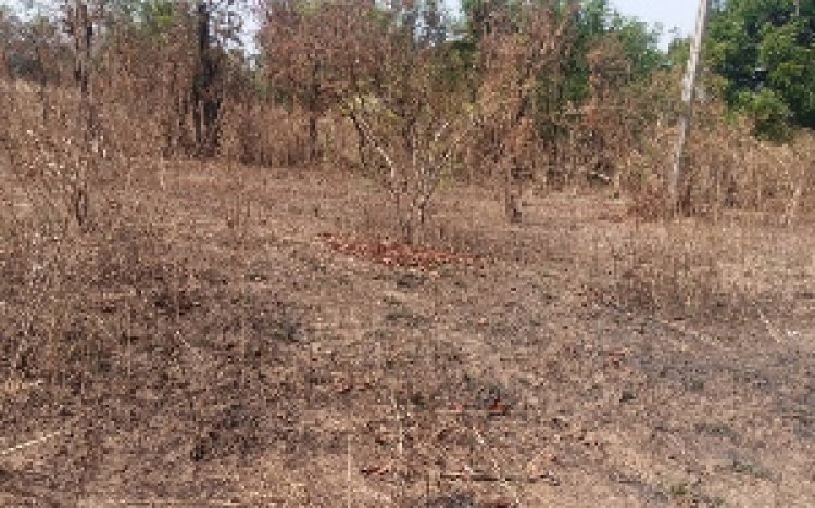 Stop The Annual  Ritual Of Bush Burning In Obuasi Communities ---Obuasi Fire Commander Cautions Public