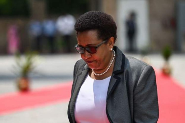 Tanzania warns foreign envoys over 'alarming' alerts