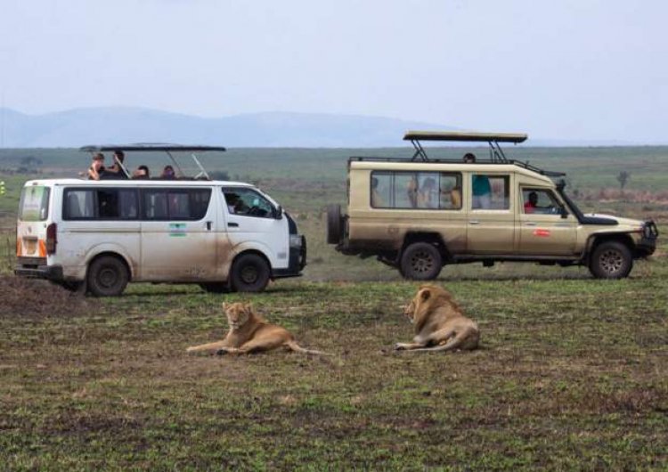 Two foreign tourists die in Kenya's Maasai Mara crash