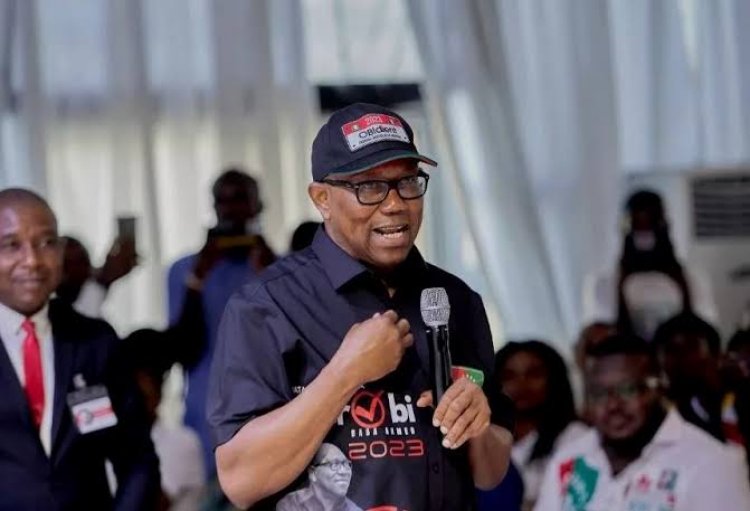 Elections: "I’m Challenging The Process, Not Outcome" - Peter Obi