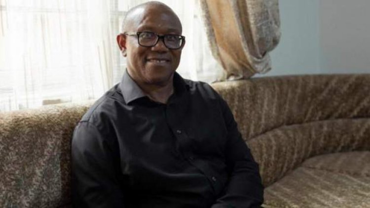 I'm being pressured to leave Nigeria - Peter Obi