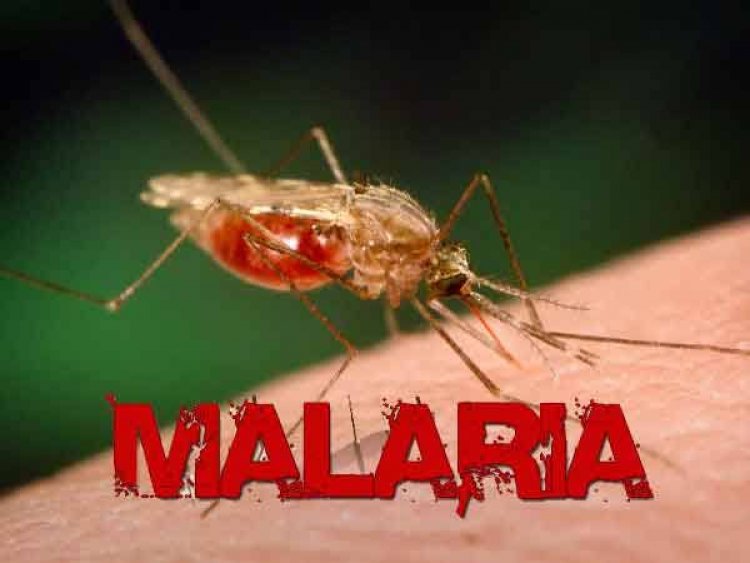 "Nigeria Records 55 Million Malaria Cases Annually" – Federal Govt