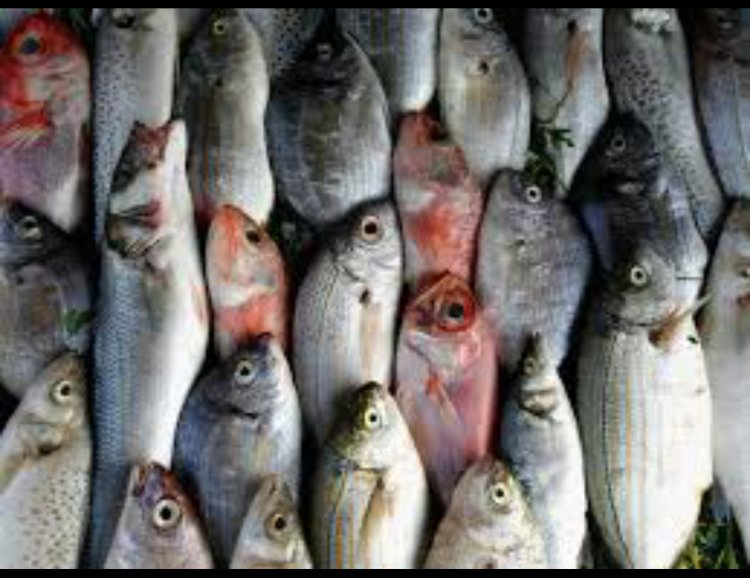 Fisheries Ministry to cut down fish importation into Ghana