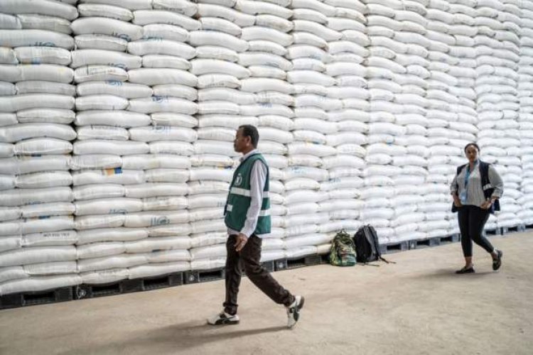 Ethiopia’s Tigray probes food aid theft as WFP halts operations