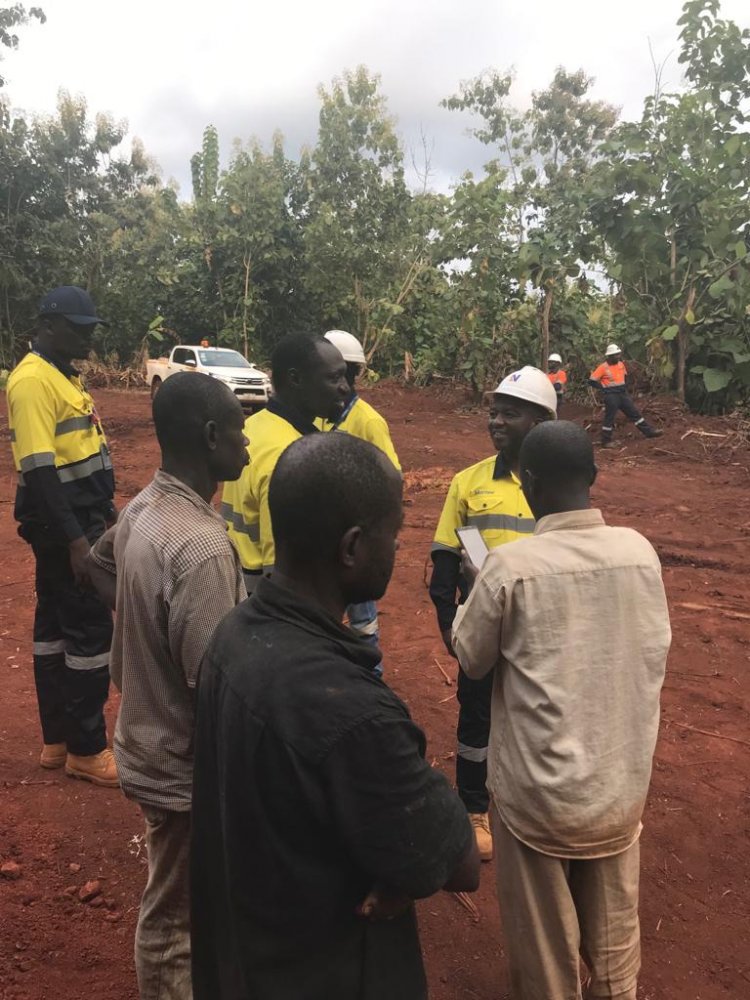 Tension In  Ahafo North Over Destruction Of Cashew, Teak Plantations