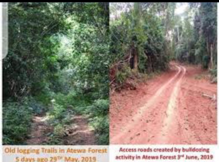Accra High Court adjourns a case challenging government over plans to mine bauxite in the Atewa Forest