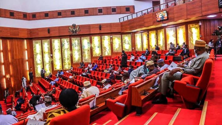 Nigerian Senate Screens CBN Governor, Cardoso, Deputies Today