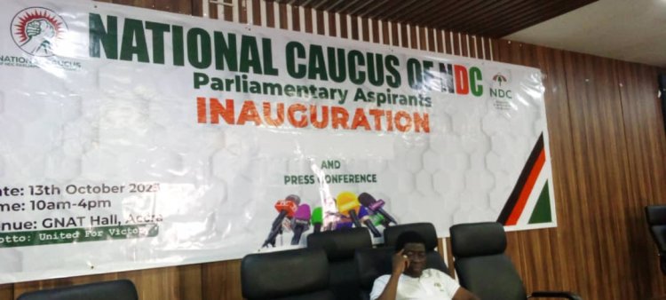 National Caucus of former NDC PCs to partner parliamentary aspirants to annex power