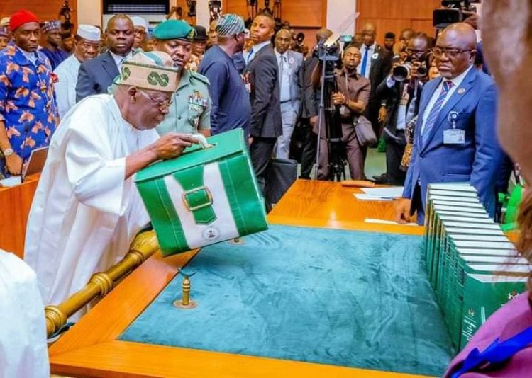 "Nigerians Will Soon See Effects Of 2024 Budget" – Presidency