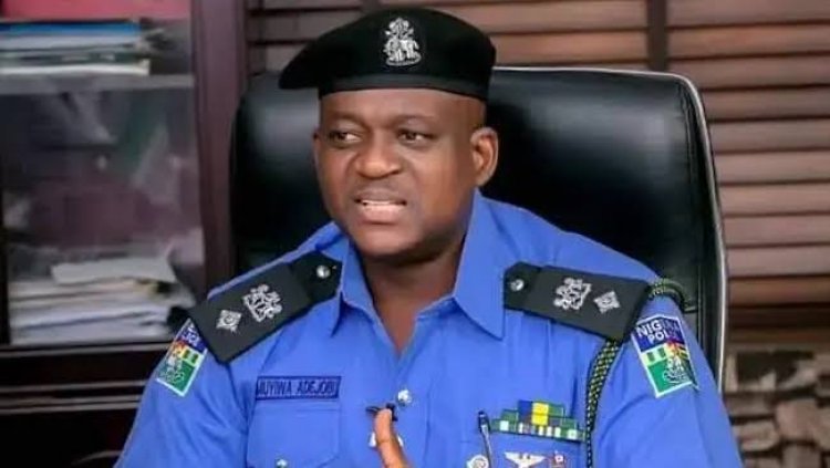 'Nigerians Are Free To Video, Take Photos Of Police Officers On Duty' - PPRO