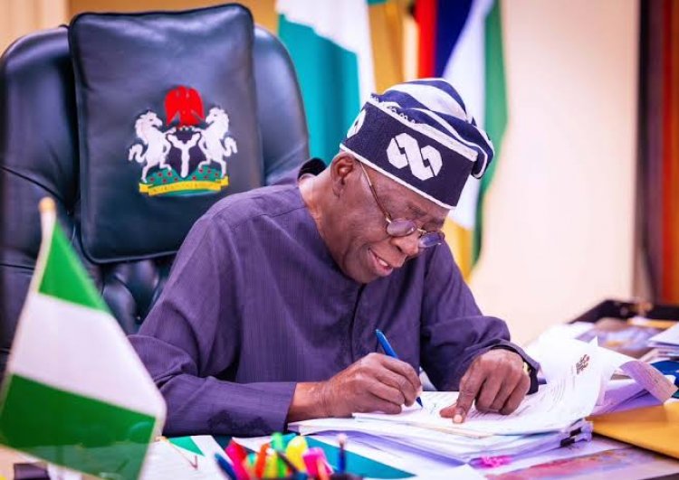NANS Commends President Tinubu For Christmas Transport Discount