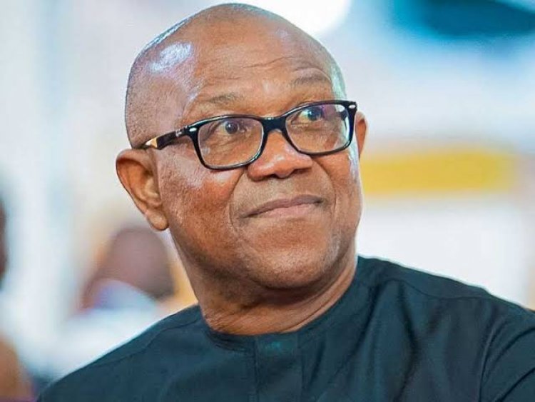 'Africa Must Change Her Leadership Tradition Style For The Youths' Sake' - Peter Obi