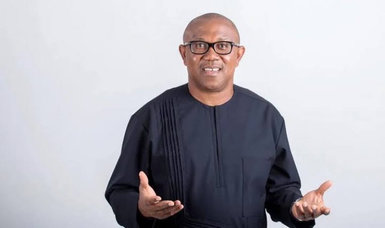 'Cut All The Expenses Of Every Aspect Of The Gov't By 60%' – Obi Tells Federal Govt