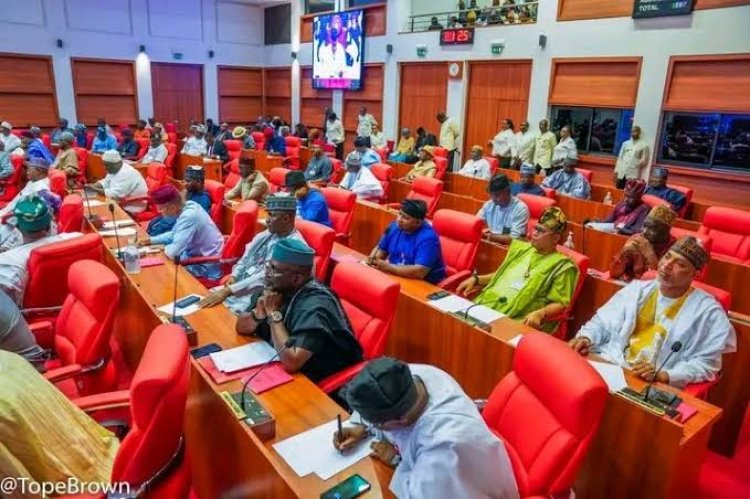 "Abuja Under Threat" — Nigerian Senate