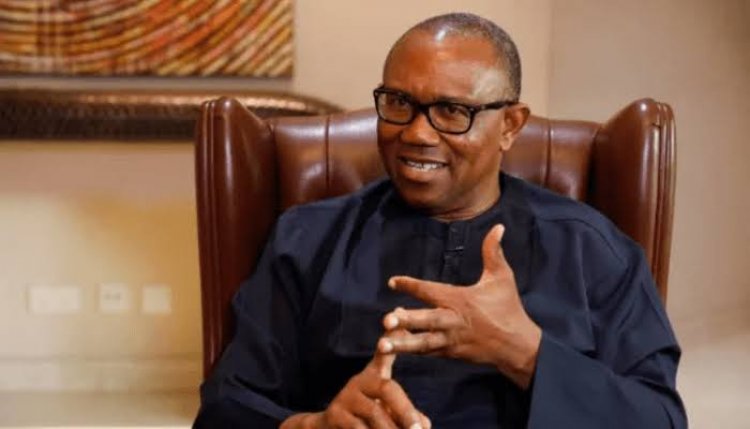 'Peter Obi Introduced Two Dangerous Things Into Politics' – Presidency