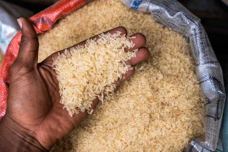 'Why Rice Price Is Decreasing In Nigeria' – Millers Reveals
