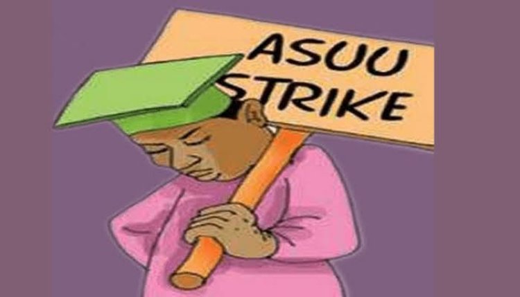 UniAbuja: ASUU Begins Indefinite Strike