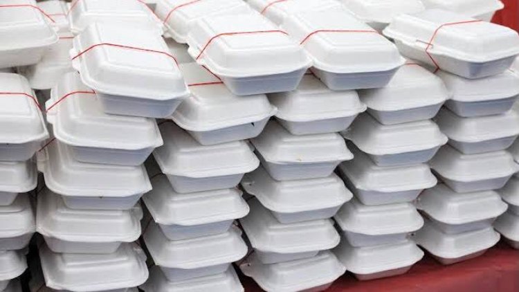 Nigerian Govt Bans Use Of Styrofoam In All Ministries, Agencies