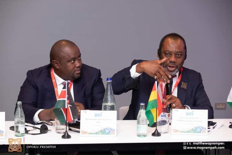 Come and Invest In Ghana's Energy Sector- Napo Tells Investors At African Energy Forum