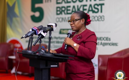 NDPC DG Underscores WASH As Key To Ghana’s Health And Economic Resilience