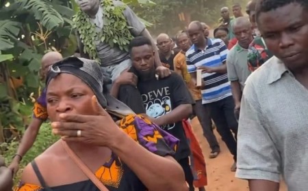 Amegavieso Council Nullifies Alleged Illegal Enstoolment Of Torgbui Akumsah VII In Avenorpedo