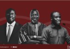 Why Does A Non-Party Like The Fourth Estate Hold the Probe Report While KGL Has None?