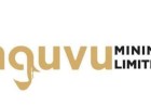 Nguvu Holdings Denies False Publication Of US$224 Million Share Fraud; Demands Retraction From Ghana News Online