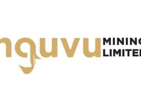 Nguvu Holdings Denies False Publication Of US$224 Million Share Fraud; Demands Retraction From Ghana News Online