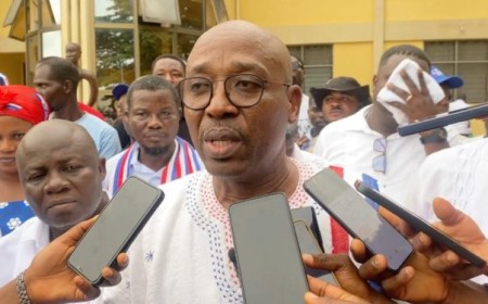 NPP Rubbishes Appointment Of Volta Regional Officers