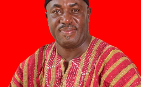 Chiana-Paga NDC Chair Announces Re-Election Bid; Highlights Key Achievements And Track Record