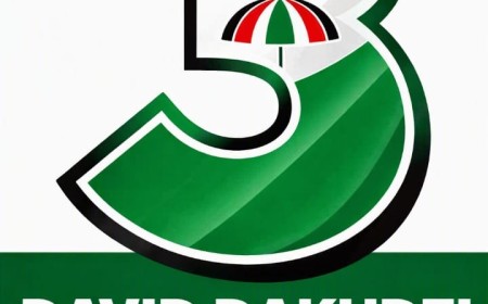 I am A Perfect Replacement   For Eastern Regional NDC   Chairman; David Dakudzi  Declares As He Picks Number Three On Ballot Paper 