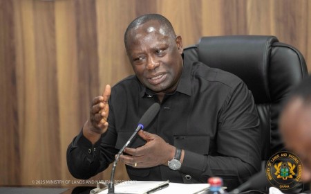Leaked Document Exposes NDC  Gov't Agreement--To Sell VALCO   To Unqualified Private Investor Following Cabinet Approval (Part One)