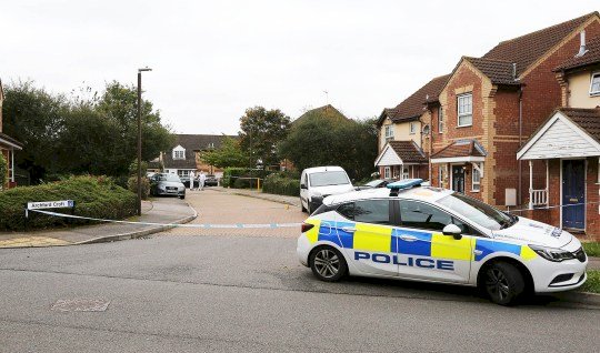 Two teenagers stabbed to death in double murder ‘at house party’