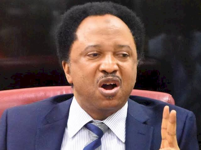 Shehu Sani Reacts As CBN Opposes MTN New Charges