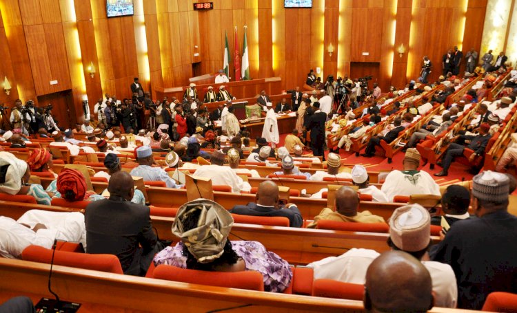 Hate Speech Bill: Senate Urges Nigerians To Be Patient, May Abandon Proposal