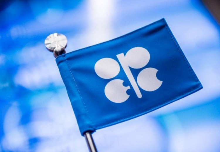 OPEC nations grapple with oversupply of oil