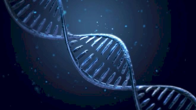 Gene editing is GM, says European Court