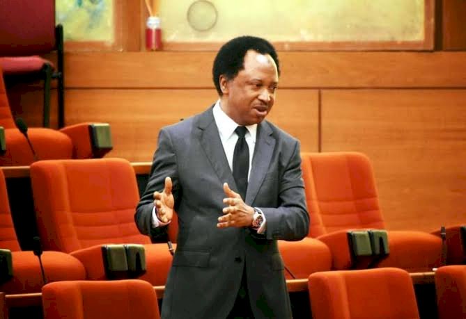 If You Give Buhari 50 years to rule, the masses will suffer for those 50 years’, -  Shehu Sani