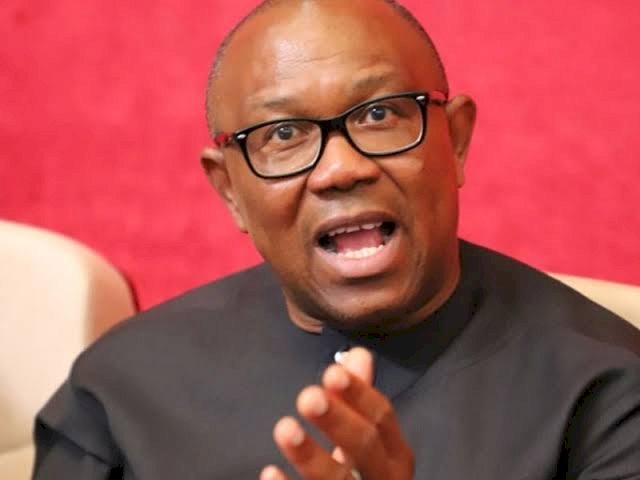 "I Used 22-Car Convoy As Governor Until I Found Out 13 Were Empty" -Peter Obi