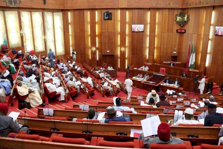 Nigerians Reject Immunity For Senate President, Speaker & Others