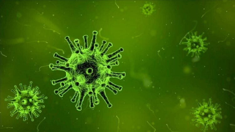 Coronavirus: Nigeria Confirms First Case in Lagos State