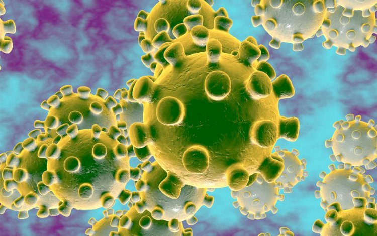 Coronavirus in Africa: Somalia, Benin Republic, Liberia, Tanzania Confirm First Cases