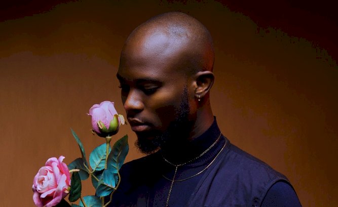 Fan Begs King Promise to Have his Babies for him
