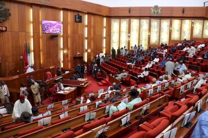 "Address Nigerians Now On Coronavirus" - Senate To Buhari